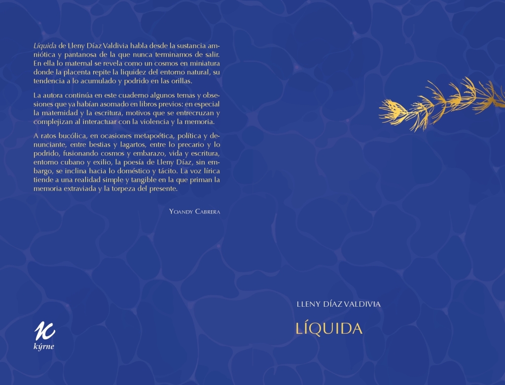 ‘Líquida’ de Lleny Díaz Valdivia